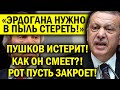 ПУШКОВ В ИСТЕРИКЕ! ЭРДОГАНА В ПЫЛЬ СОТРЁМ, ОБНАГЛЕЛ!