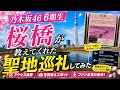 乃木坂46 『桜橋が教えてくれた』の現地に着弾♪