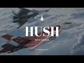 Hush  ace combat 7 epic remix  lucas ricciotti