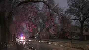 Ice storm brings down trees, power lines in Chicago suburbs