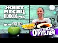 ДЕНЬ 14 - 15: БЕСПЛАТНО ПРОДУКТЫ в КАРУСЕЛИ 🥣 ЖИВУ МЕСЯЦ НА 1000 РУБЛЕЙ в 2021 году