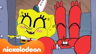 スポンジ・ボブが別のアニメだったら…？ | 新しい絵柄のエピソード  | ニコロデオンジャパン