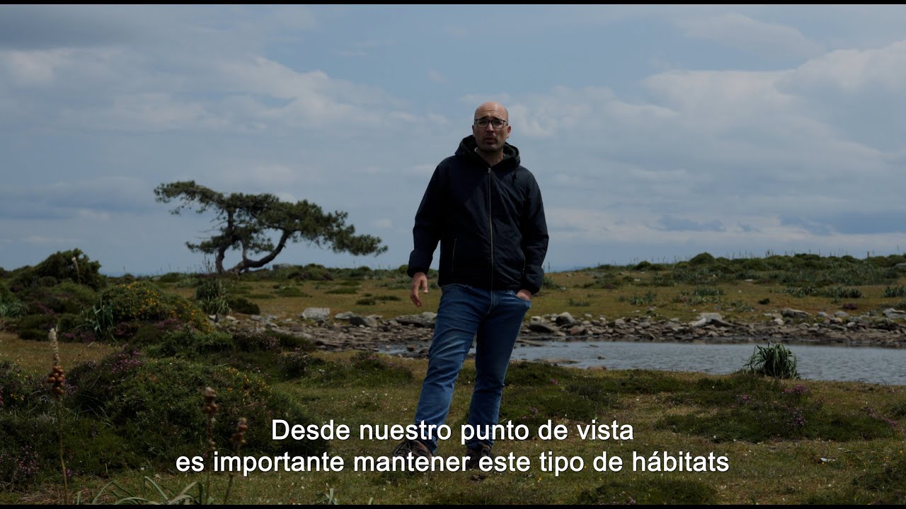 Proyecto RURALtXA! en la Serra da Groba (Galicia) ESPAÑOL