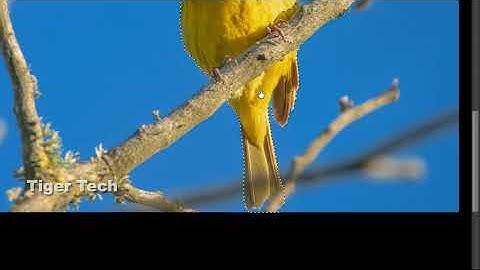 How To Joint Picture Editing Background in Photoshop cc, Part BP - 18