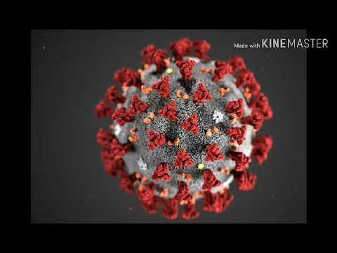 დავით მეგრელიშვილი