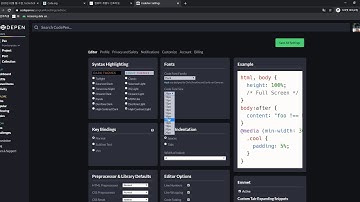 2020 02 14, 프론트, 개념,CODEPN 세팅법