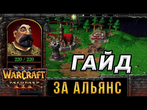 Видео: Гайд За Альянс для НОВИЧКОВ - WarCraft 3:Reforged - Как играть за АЛЬЯНС в ВАРКРАФТ 3