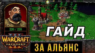 Гайд За Альянс для НОВИЧКОВ - WarCraft 3:Reforged - Как играть за АЛЬЯНС в ВАРКРАФТ 3