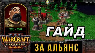 :      - WarCraft 3:Reforged -       3