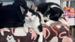 When they almost made it. Those hurt too.