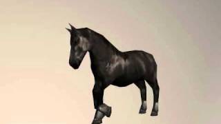 3D animated Horse on 3DOcean