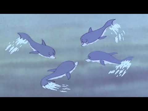 Салют, олимпиада! 1979