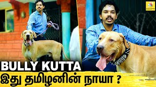 அலங்கு நாயும் , BULLY KUTTAவும் ஒண்ணா ? : Paari saalan Interview | Alangu mastiff | All About Dogs