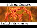 Ezekiel’s Vision – Ezekiel 1:5,6,8 – The Four Living Creatures (or Cherubim). #Shorts