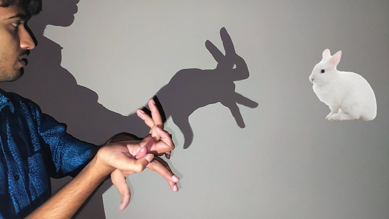 How to Make Shadow Puppets With Your Hand Very Interesting Ideas Part 3