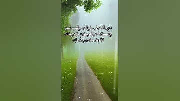 ( يا أيها الذين أمنوا توبوا إلى الله) تلاوة خاشعة جميلة/طبيعة وطيور(لا إله إلا الله محمد رسول الله