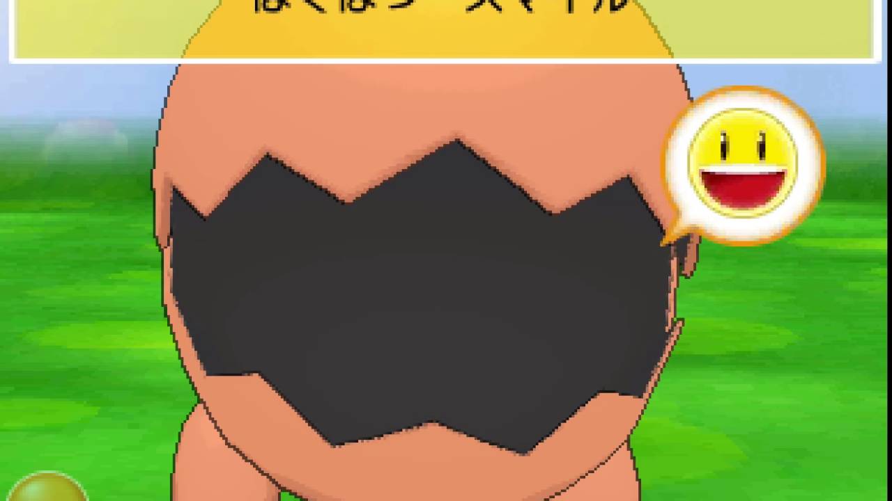 ポケパルレ ナックラーと戯れるだけの動画 Youtube