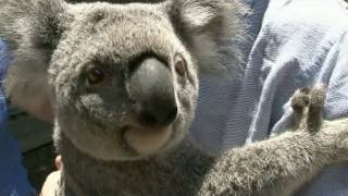'The Wilds': A Safari in the Suburbs: Video of the Animal Conservation Center in Ohio