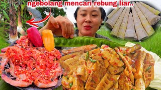 NGEBOLANG MENCARI BAMBU MUDA UNTUK DIOLAH, OSENG REBUNG UDANG PENYET  SEDAPNYO🤤