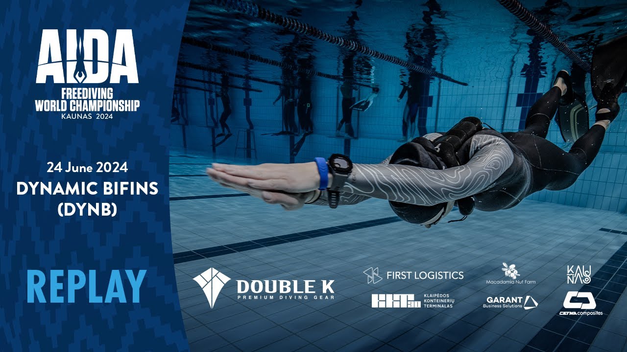 AIDA Pool World Championship Kaunas 2024 Day 1: DYNB