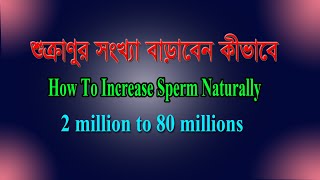 শুক্রাণুর  সংখ্যা  কীভাবে  বাড়াবেন- How  to  increase  sperm  naturally। শুক্রাণু  বাড়ানোর উপায়