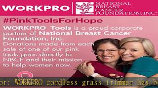 WORKPRO Cordless Grass Shear & Shrubbery Trimmer - 2 in 1 Handheld Hedge Trimmer Electric Grass Tri