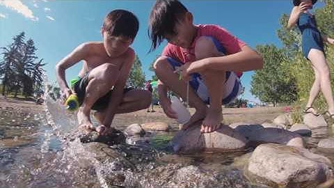 Feiyu Tech WG2 Waterproof Gimbal Test Footage