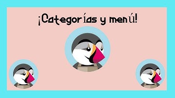 Categorías Prestashop | Categorías y menús en Prestashop