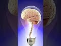 capacity of human brain || amazing fact || Fact Nepal#shorts#factsnepal