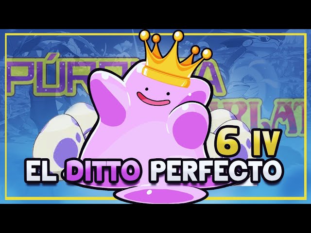 Dónde encontrar a Ditto en Pokémon Escarlata/Púrpura y cómo atraparlo? -  Meristation