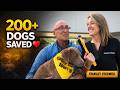 Helping 200+ Dogs Find Homes 🐶❤️ | Stanley Steemer Orlando Pet Adoption Story