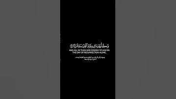 وكلهم آتيه يوم القيامة فردا| كرومات قرآن كريم بصوت #أحمد_النفيس | #سورة_مريم