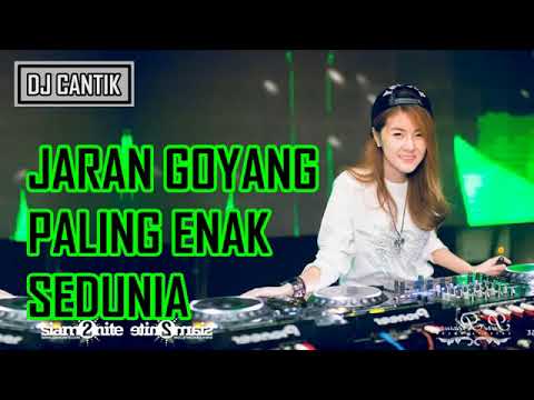 Free Download Dj Jaran Goyang Nela Karisma Remix Mp3 dan Mp4