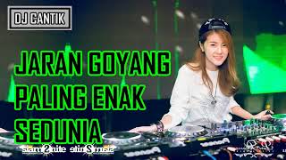 DJ JARAN GOYANG NELA KARISMA REMIX