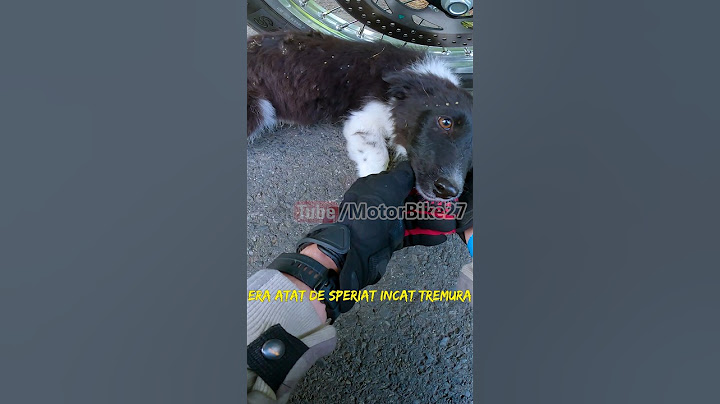 Am salvat un cățel părăsit în mijlocul câmpului 😢😢 #shorts