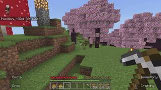 Minecraft Bedrock Footage 18