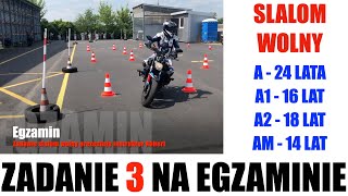 Zadanie egzaminacyjne slalom wolny z Turbo Pabianice w WORD Łódź