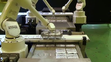 Robotic High Speed Picking and Packing