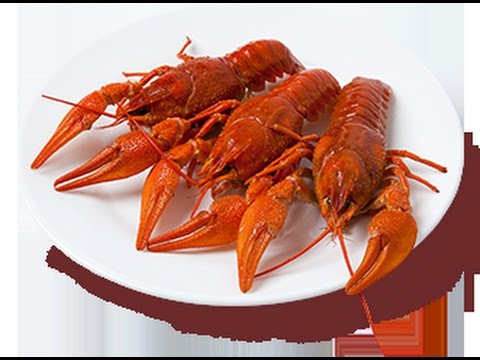 Раки Воронеж Купить Цена