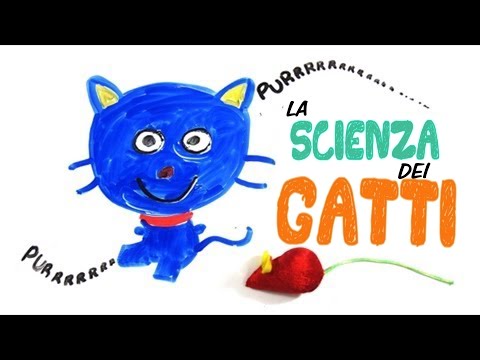 Video: I Benefici Sostenuti Dalla Scienza Di Essere Un Amante Dei Gatti