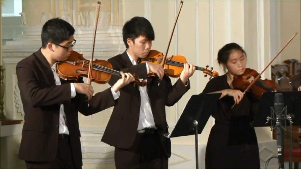 Dvorak serenade for strings in E major, Op.22. Part 1 YouTube