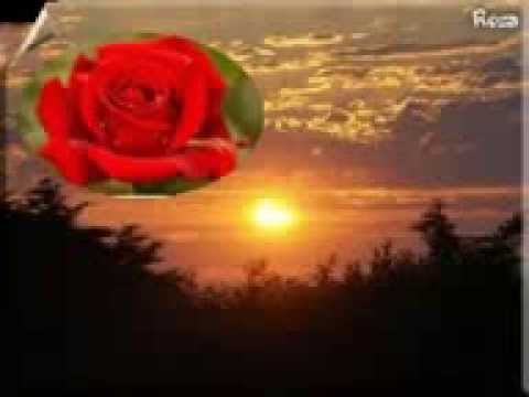 لطفي بوشنآق أنت شمسي ف ر يد ب ن س ل ط آن  3