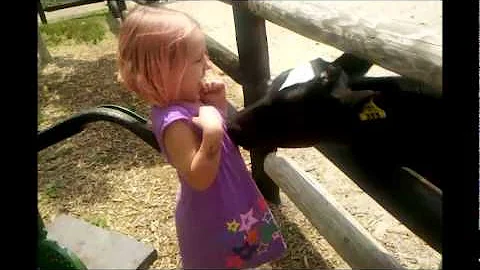 millie&cow