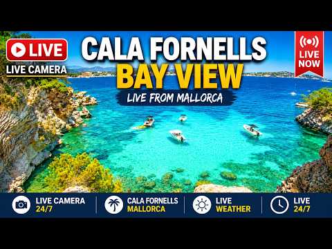 🌞 Mallorca Webcam Paguera Cala Fornells | 4K UHD | 24/7 Stream |  #Mallorca #Calvia #Balearics