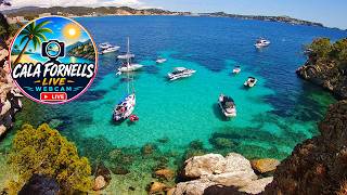 🌞 Mallorca Webcam Paguera Cala Fornells | 4K UHD | 24/7 Stream |  #Mallorca #Calvia #Balearics