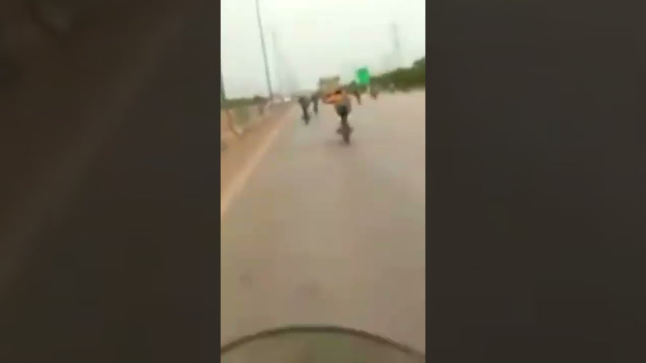 bali x vs ali johir free style big race 😱