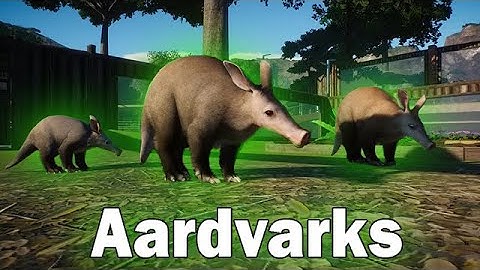 Planet Zoo A-Z: Aardvark