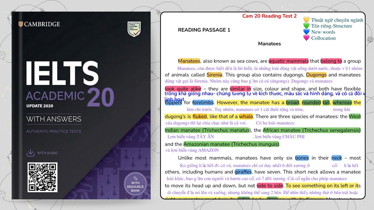 Cam 20 | Reading Test 2 Passage 1,2,3 (Dịch nghĩa + Phân tích)