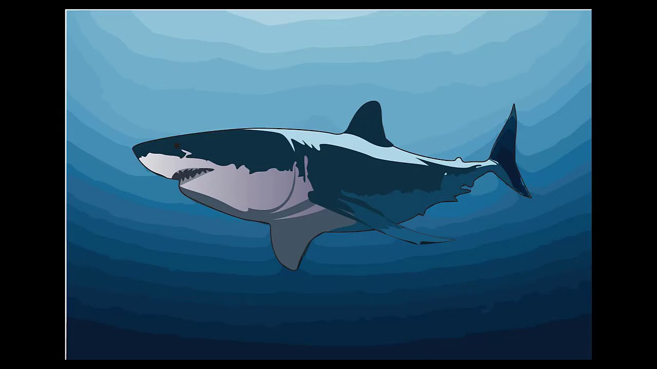 Shark Speed Art | Adobe Illustrator | Twin Tracers