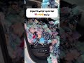 شفو عجب لي عامر بيه طنوبيلا شفو عجب لي عامر بيه طنوبيلا